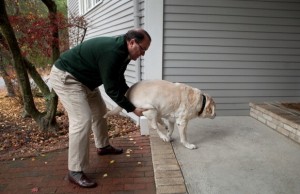 Doggone Best Products Releases New Canine Joint Supplement Doggone Best Products Releases New Canine Joint Supplement