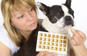 How I Give My Dog Essential Pet Supplements She Doesn’t Like How I Give My Dog Essential Pet Supplements She Do Not Like