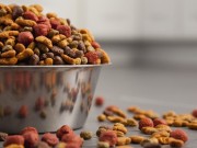 Mars is Leading the Way to a Greener Pet Food Industry Mars is Leading the Way to a Greener Pet Food Industry