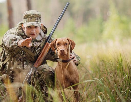 30 Gun Dog Supplies for Game Hunters Most Essential Best Gun Dog Supplies for Game Hunters to Assist You Both on Hunts