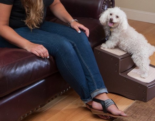 Pet Gear Easy Step III Pet Stairs Review Pet Gear Easy Step III