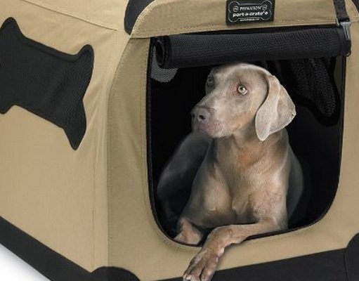 Petnation Indoor-Outdoor Pet Home Review Petnation Indoor Outdoor Pet Home