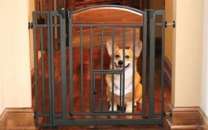 Using pet gates to stop dog bolting