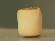 Prickly Fibers Are Showing Up in Pedigree Dog Treats Prickly Fibers Are Showing Up in Pedigree Dog Treats