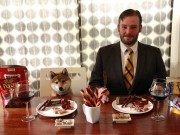 Some Dog Food Companies Hire Human Taste Testers Some Dog Food Companies Hire Human Taste Testers