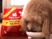 Stella & Chewy’s Issues a Large Voluntary Recall Stella & Chewy's Issues a Large Voluntary Recall