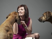 The Honest Kitchen Produces Human Grade Dog Food The Honest Kitchen Produces Human Grade Dog Food