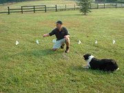 The Latest Invisible Fence Technology is Available Throughout Canada The Latest Invisible Fence Technology is Available Throughout Canada