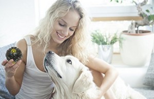 WoofWoofRuff Introduces New Line of Dog Toys WoofWoofRuff Introduces New Line of Dog Toys