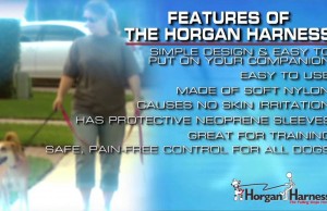 The Horgan Harness Stops Your Dog From Pulling in a Unique Way