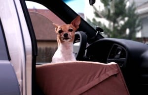 K & H Bucket Booster Seats