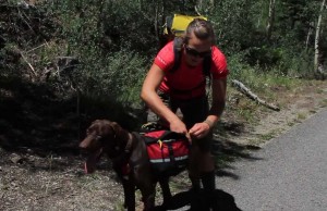 Dog Backpacks Are Great for Long Walks and Hikes