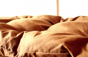 Cool Lounger Dog Beds Will Help Your Pup Beat the Summer Heat