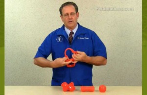 Bionic Dog Toys are Durable, Fun, and Scented