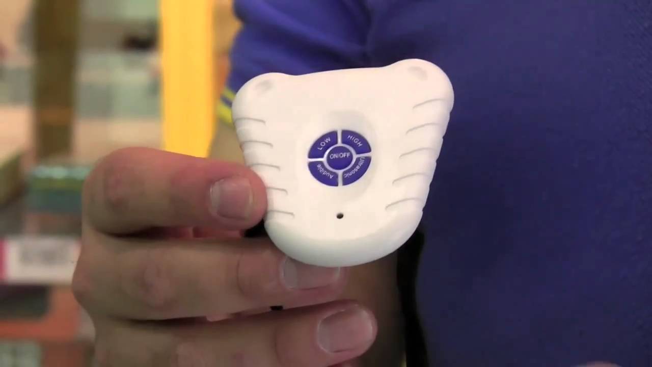 Use the Bark Stop Collar to Stop Unnecessary Barking Top Dog Tips