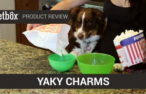 Yaky Charms Are a Pet-Friendly Version of Popcorn