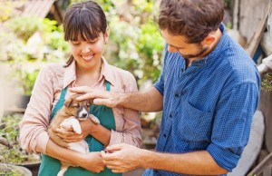 Sunday’s Recap: Adopting A Dog That Fits Your Lifestyle Adopting A Dog That Fits Your Lifestyle featured image