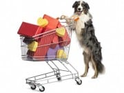 Best Deals and Discount Dog Supplies: August 16-22 Best Deals and Discount Dog Supplies featured image