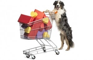 Best Deals and Discount Dog Supplies: August 16-22 Best Deals and Discount Dog Supplies featured image