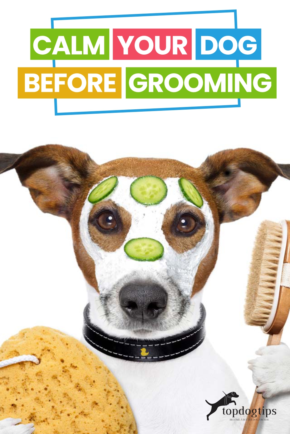 How to Calm Your Dog Before Grooming Top Dog Tips