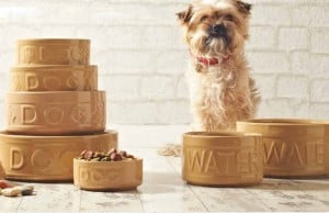 Mason Cash Stoneware Pet Products are Durable and Unique Mason Cash Stoneware Pet Products are Durable and Unique