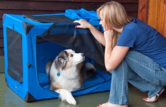 Pet Gear Generation II Deluxe Portable Soft Crate Review Pet Gear Generation II Deluxe Portable Soft Crate