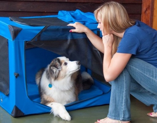 Pet Gear Generation II Deluxe Portable Soft Crate Review Pet Gear Generation II Deluxe Portable Soft Crate