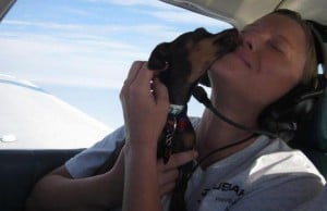 Pilots N Paws Helps Rescue Dogs Around the World Pilots N Paws Helps Rescue Dogs Around the World