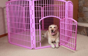 Safe Playtime: Why You Should Consider a Playpen for Dogs Safe Playtime - Why You Should Consider a Pet Playpen for Dogs