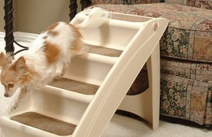 Solvit PupSTEP Plus Pet Stairs Review