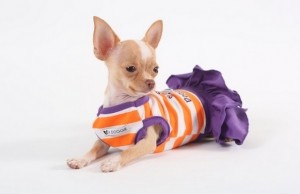 The Fashion Institute of Technology Brings Dog Fashion Into Their Curriculum The Fashion Institute of Technology Brings Dog Fashion Into Their Curriculum1