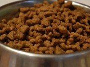 The Kleanbowl System Helps Avoid Germs in Dog Bowls The Kleanbowl System Helps Avoid Germs in Dog Bowls