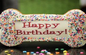 This New Jersey Shop is Known for Their Homemade Dog Food and Treats This New Jersey Shop is Known for Their Homemade Dog Food and Treats