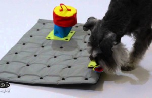 Keep Your Dog Entertained and Train His Brain with the Buster Activity Mat