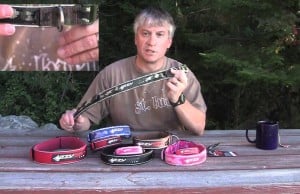 Neo Dog Collars From EzyDog Aren’t Your Ordinary Collar