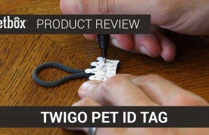 Twigo Lets Pet Owners Create Unique Pet ID Tags