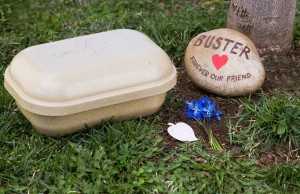 Paw Pods Offer Owners a Dignified Way to Remember Their Beloved Pets
