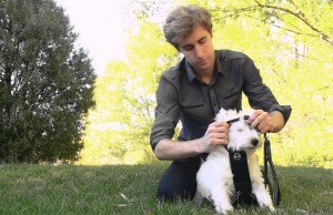 This Travel Harness is Comfortable and Less Bulky Than Most