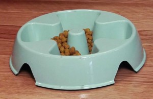 Slow Speedy Eaters With this Specially Designed Dog Bowl