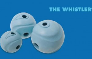 Your Dog Can Follow This Ball By Sound