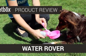 Don’t Let Your Pet Go Thirsty – Bring a Water Rover!