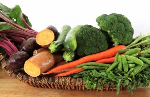 Dr. Harvey’s Veg-to-Bowl Dog Food is Healthy and Easy to Prepare