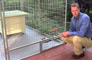 This Kenneling System Has More Features Than Any Other Dog Kennel