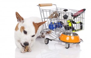 7 Types of Dog Supplies to Buy in Bulk Types of Dog Supplies to Buy in Bulk