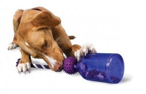 Challenge and Reward Your Pet At the Same Time With the Tug-A-Jug Dog Toy Challenge and Reward Your Pet At the Same Time With the Tug-A-Jug Dog Toy