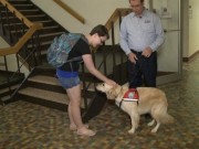 Concordia University Now Has a Comfort Dog on Campus Concordia University Now Has a Comfort Dog on Campus