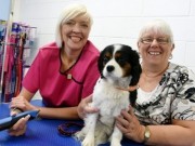 Dog Groomer Gets New Digs After Working From Garden Shed For 5 Years Dog Groomer Gets New Digs After Working From Garden Shed For 5 Years