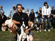 Dog Walkers in Australia Are Furious About New Regulations Dog Walkers in Australia Are Furious About New Regulations