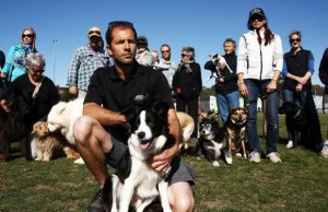 Dog Walkers in Australia Are Furious About New Regulations Dog Walkers in Australia Are Furious About New Regulations