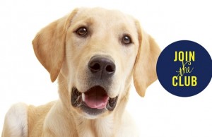 Florida Dog Grooming Center Unveils New Monthly Pet Care Club Florida Grooming Center Unveils New Monthly Care Club